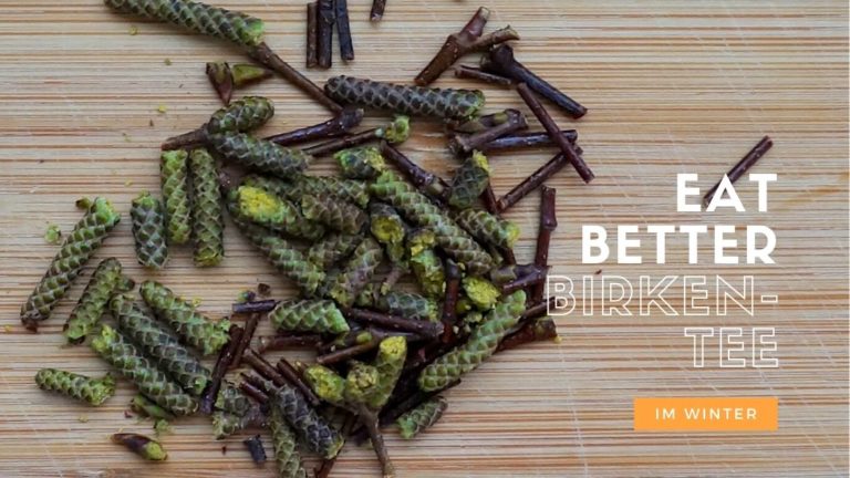 Birken Tee selber machen.